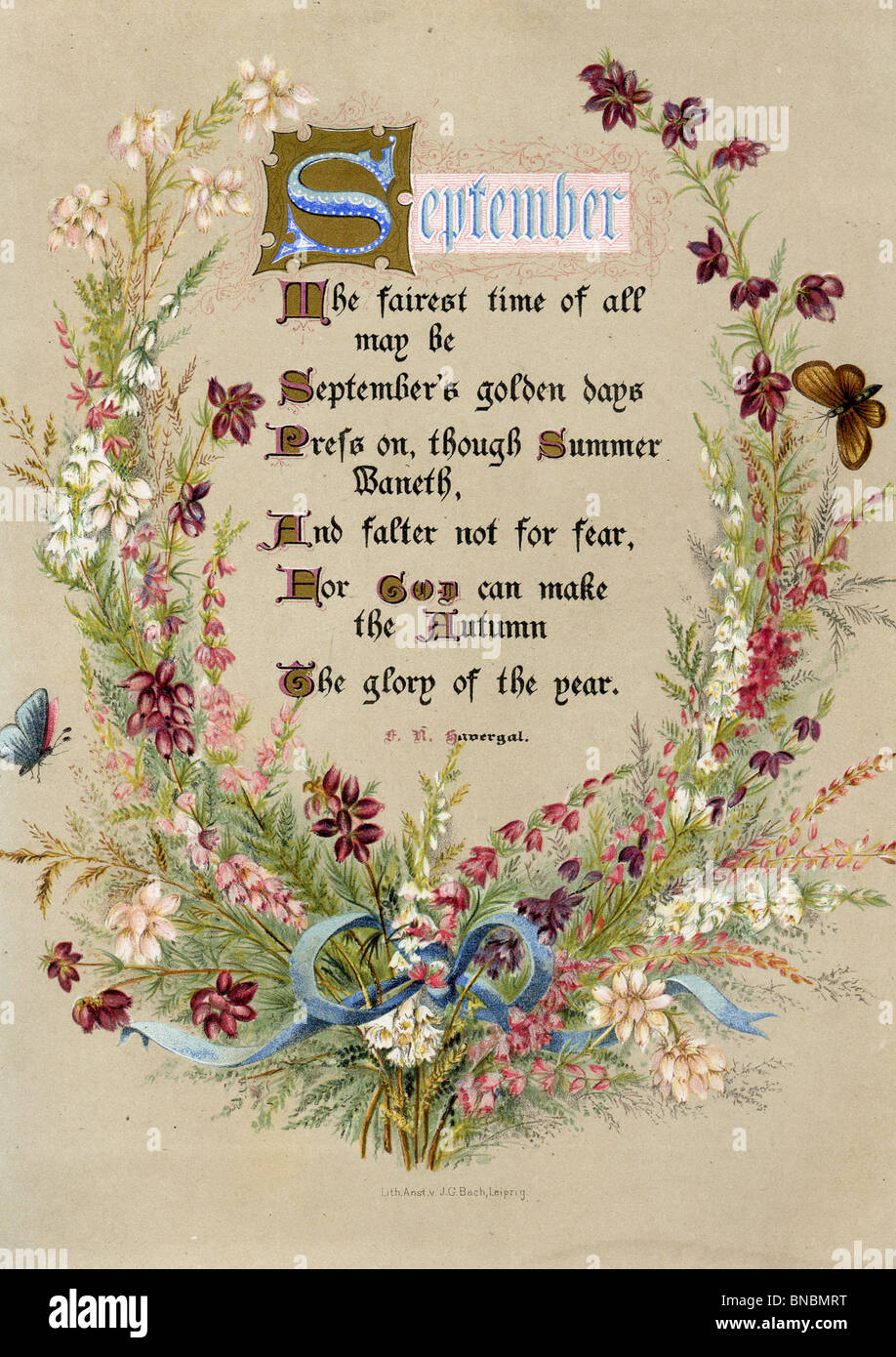 September-Gedicht mit Blumen und Schmetterlingen Stockfotografie - Alamy