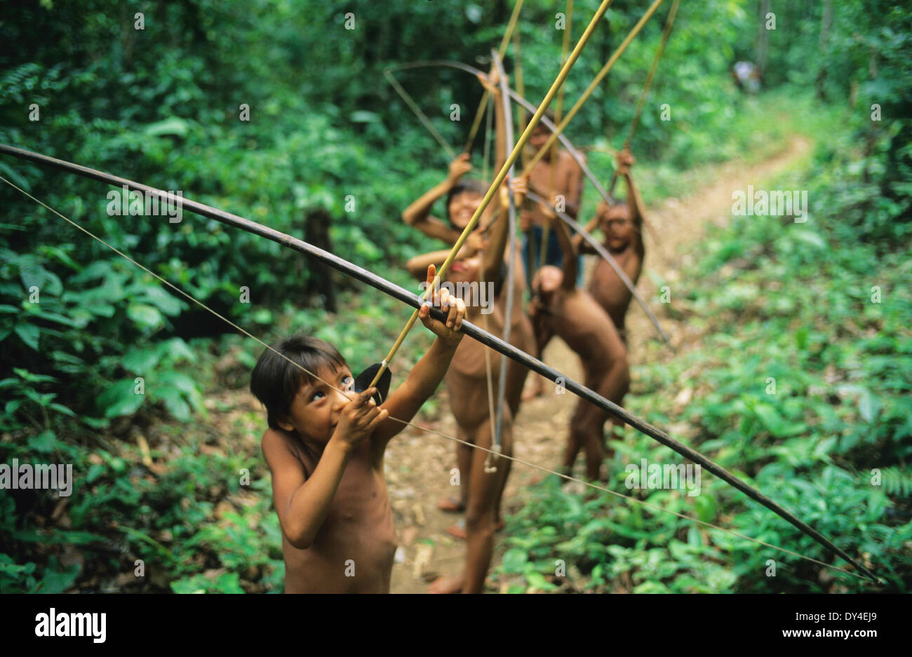 Yanomami Jungs Junge Jäger Mit Pfeil Und Bogen Lernen Zu Jagen