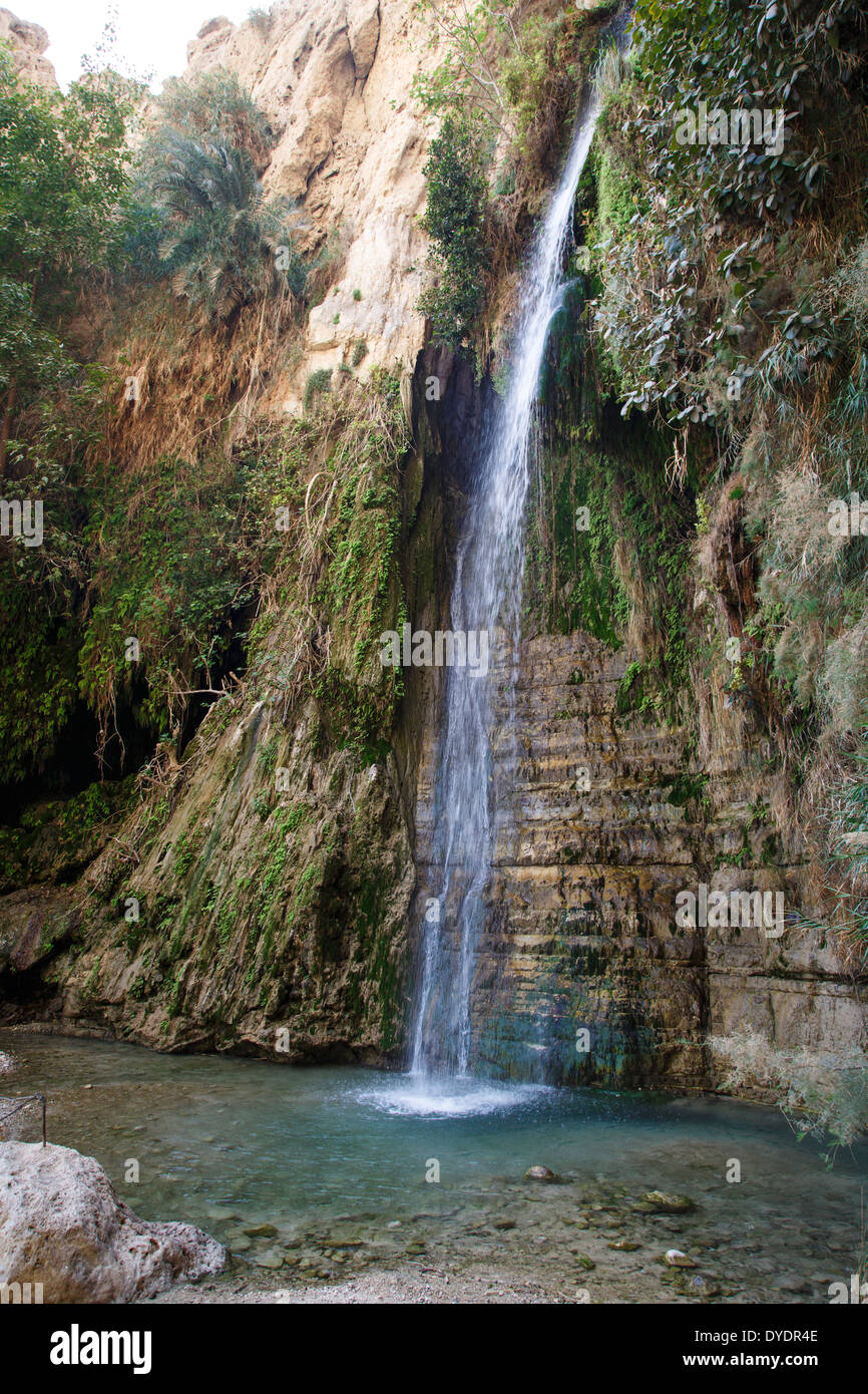 Wasserfall in Wadi David, Ein Gedi Naturreservat, Judäische Wüste
