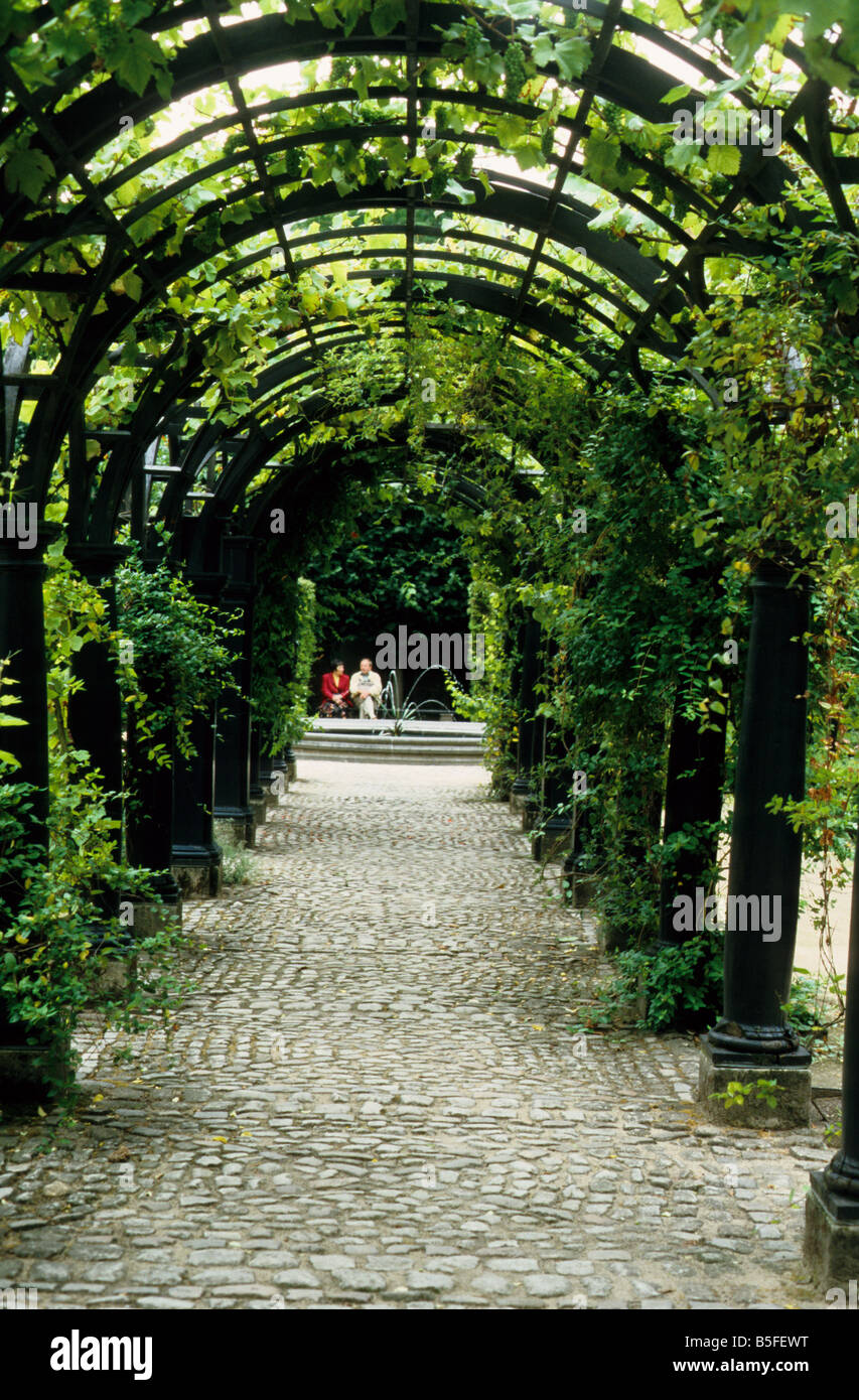 Pergola mit Reben im Garten des Rubenshaus in Antwerpen Belgien