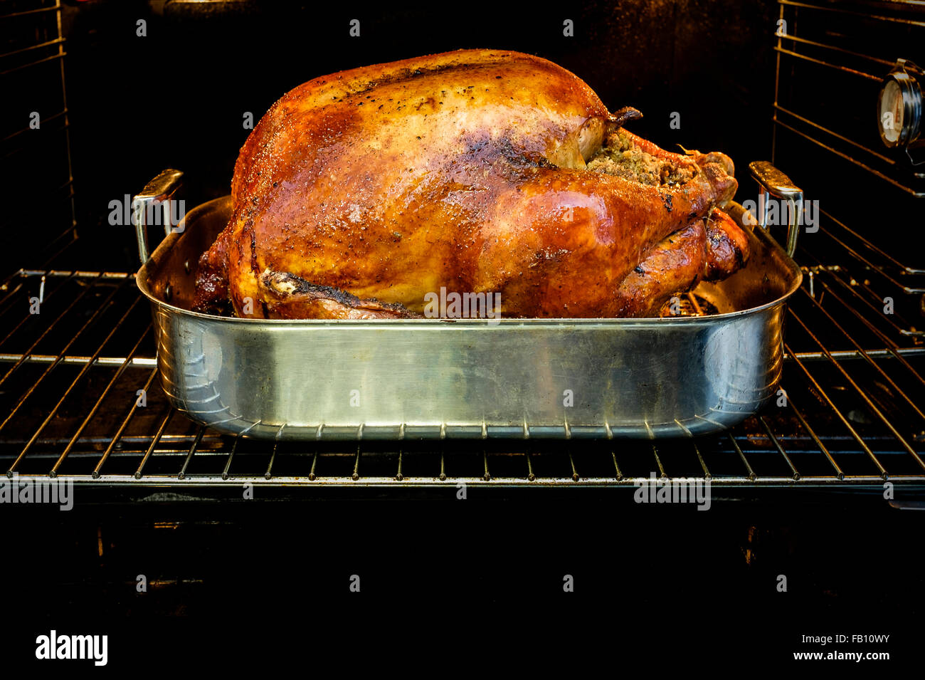 Gebratener Truthahn für Thanksgiving im Ofen Stockfotografie - Alamy
